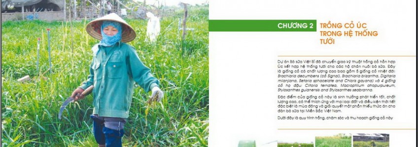 Thiết lập hệ thống tưới để trồng cỏ chất lượng cao - chương 2