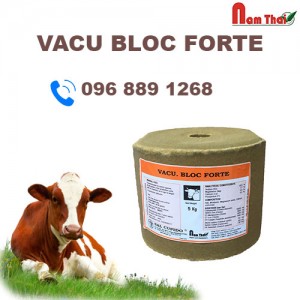 Đá liếm Vacu Bloc Forte
