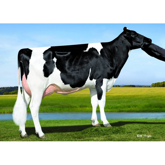 Tinh bò sữa HF - DE-SU 11914 HILLIARD-ET - 29HO17715