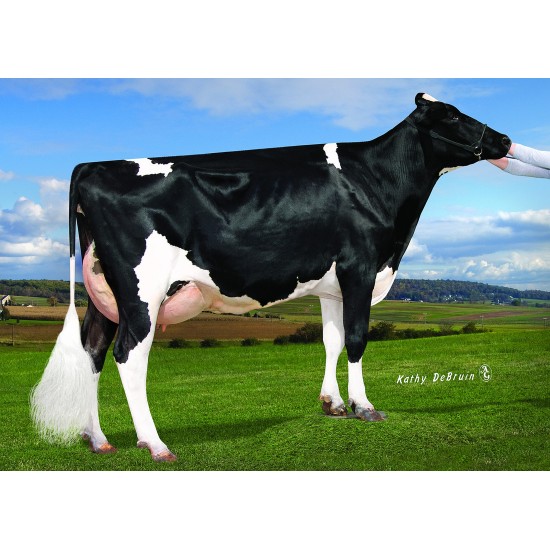 Tinh bò sữa HF - MATCREST GRACIN - ET - 29HO17759