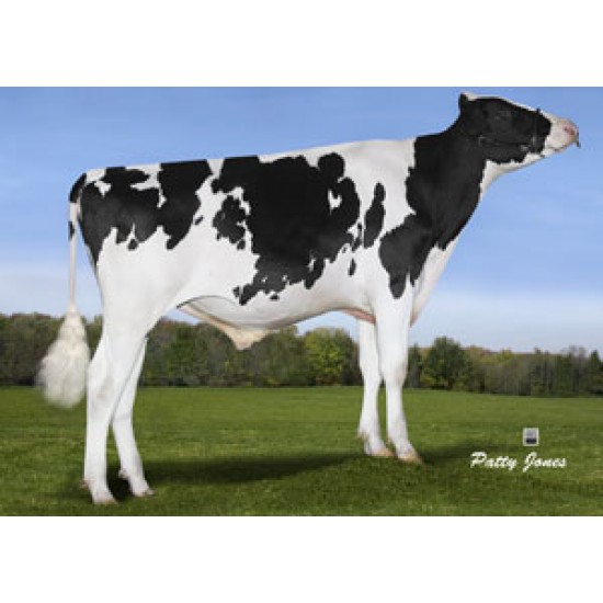Tinh bò sữa HF - MORSAN MASTERPIECE-ET 94HO14758