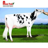 Tinh bò sữa HF - ABS PONTIAC-P-ET