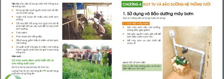 Thiết lập hệ thống tưới để trồng cỏ chất lượng cao - chương 4
